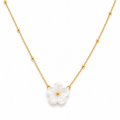 Flower Shell and 18k Gold Beaded Chain Necklace